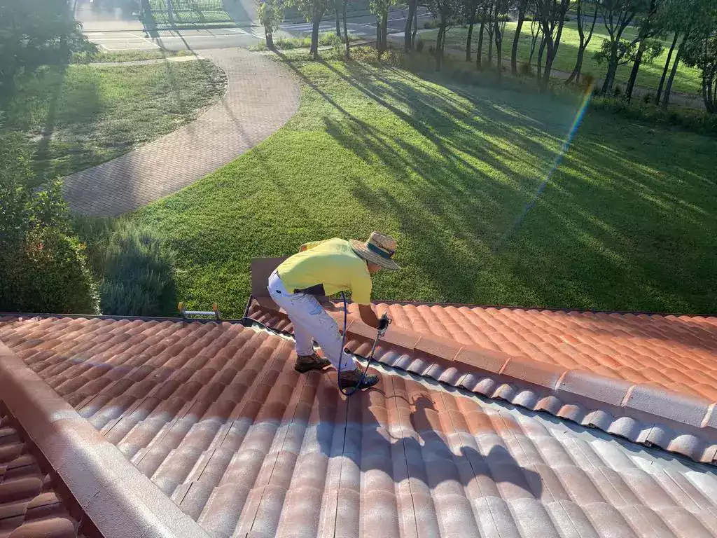 Sydney Roof Painting services